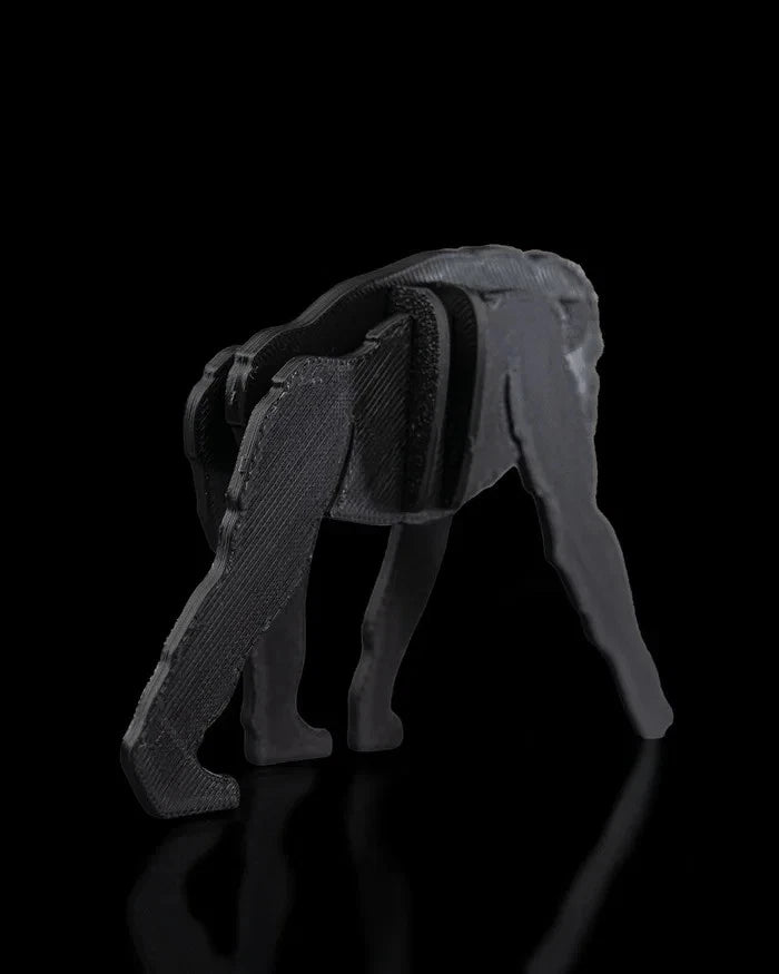 Bonobo (scimpanzé pigmeo) kit di montaggio, puzzle a pannelli stampa 3D a colori