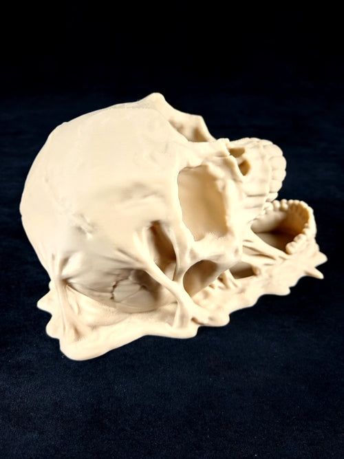 "Roll of Monsters" Doom Skull Dice Tower Torre lanciadadi stampa 3D PLA bianco