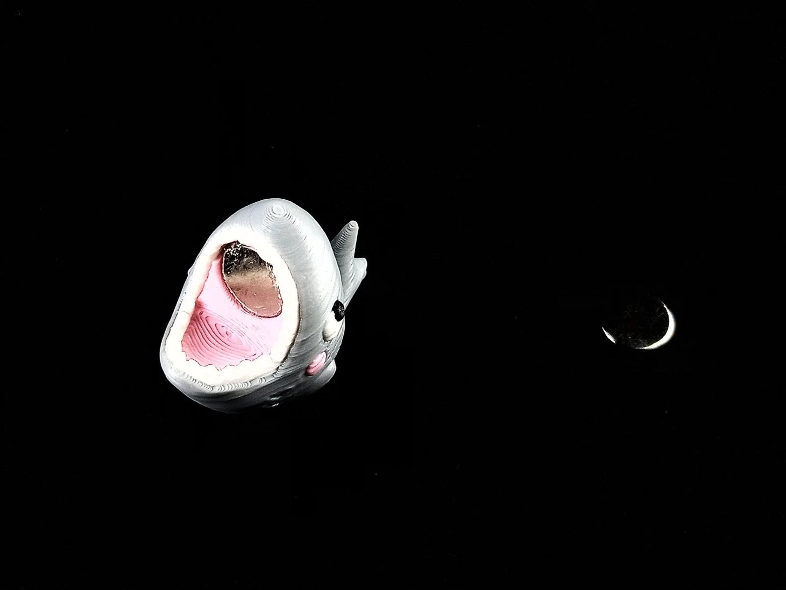 Orecchini a forma di Squalo che morde il lobo, perno in argento o magneti stampa 3D a colori
