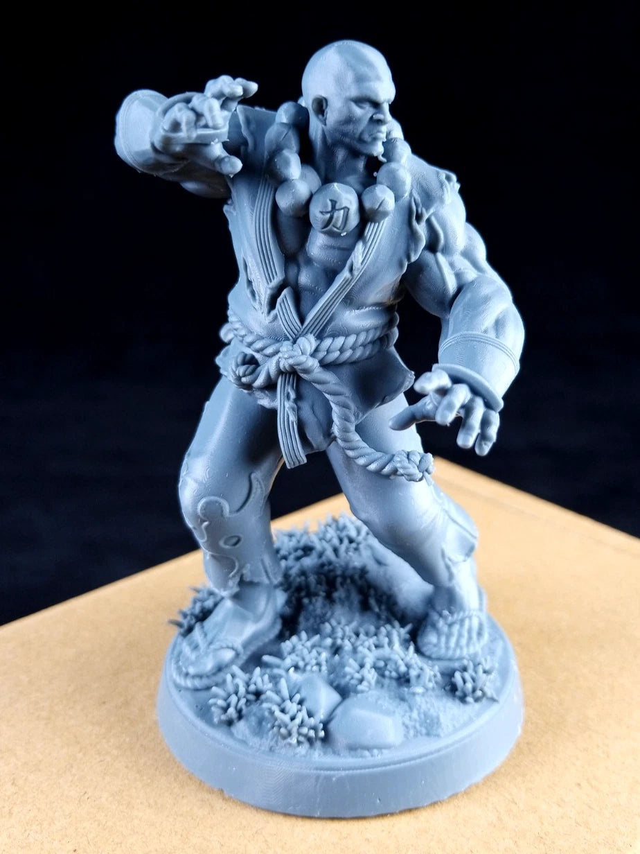 Daiki, The Silent Sage - Hero,  Action Figure in resina Kit 75 mm stampa 3D